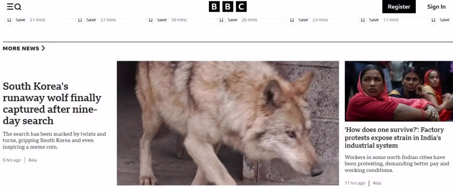 BBC 에 보도된 늑구 2