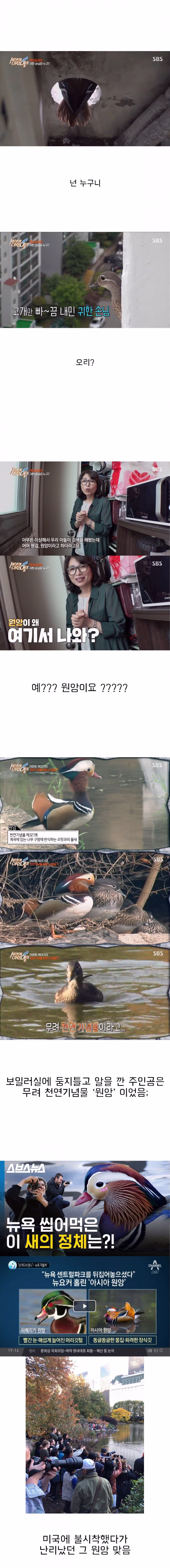 세상의 이런일이 대참사 2