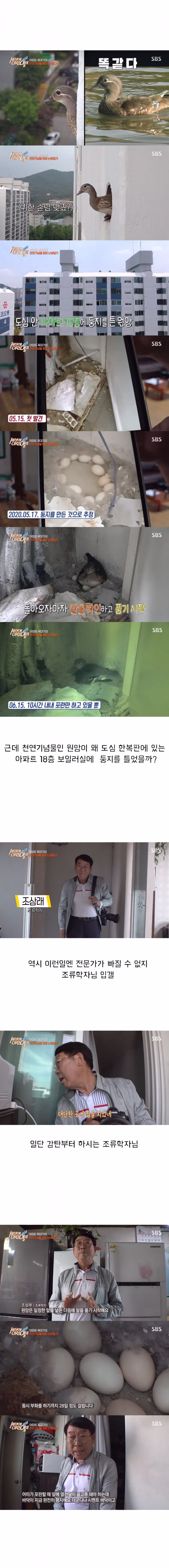 세상의 이런일이 대참사 3