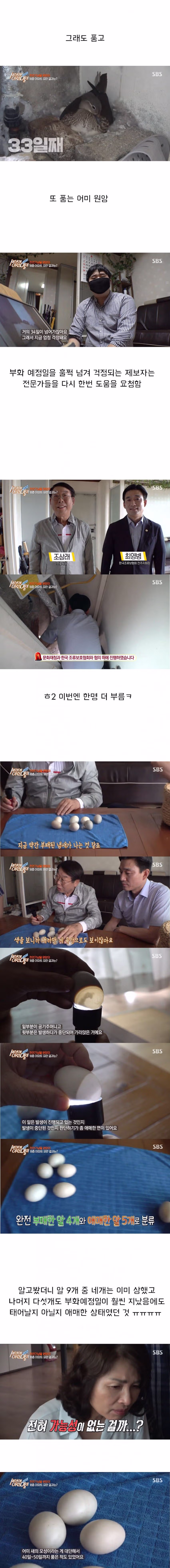 세상의 이런일이 대참사 6