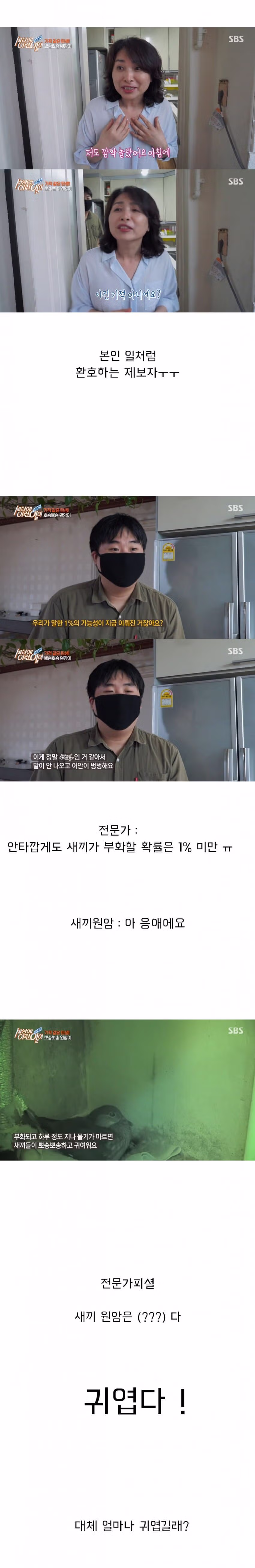 세상의 이런일이 대참사 7