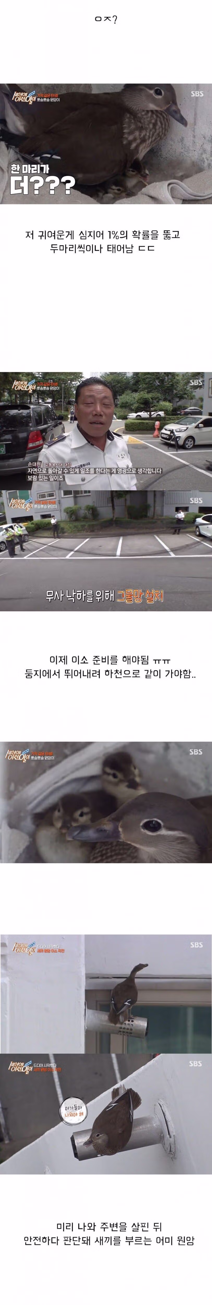 세상의 이런일이 대참사 8