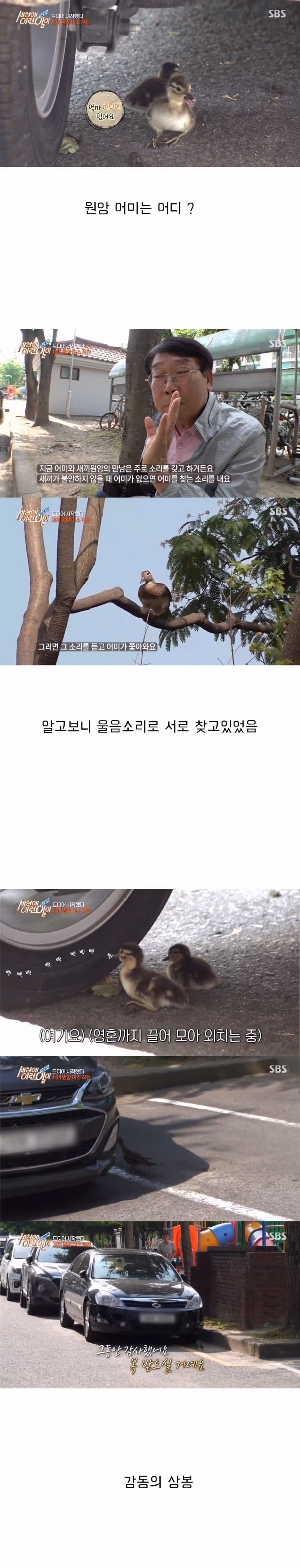 세상의 이런일이 대참사 9