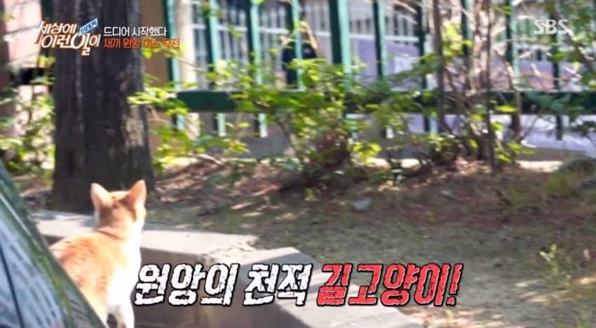 세상의 이런일이 대참사 10