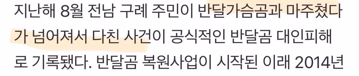 언제 사람 뒤질지 모르는 지리산 반달곰.gif 5