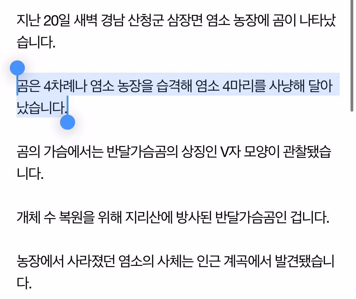 언제 사람 뒤질지 모르는 지리산 반달곰.gif 6