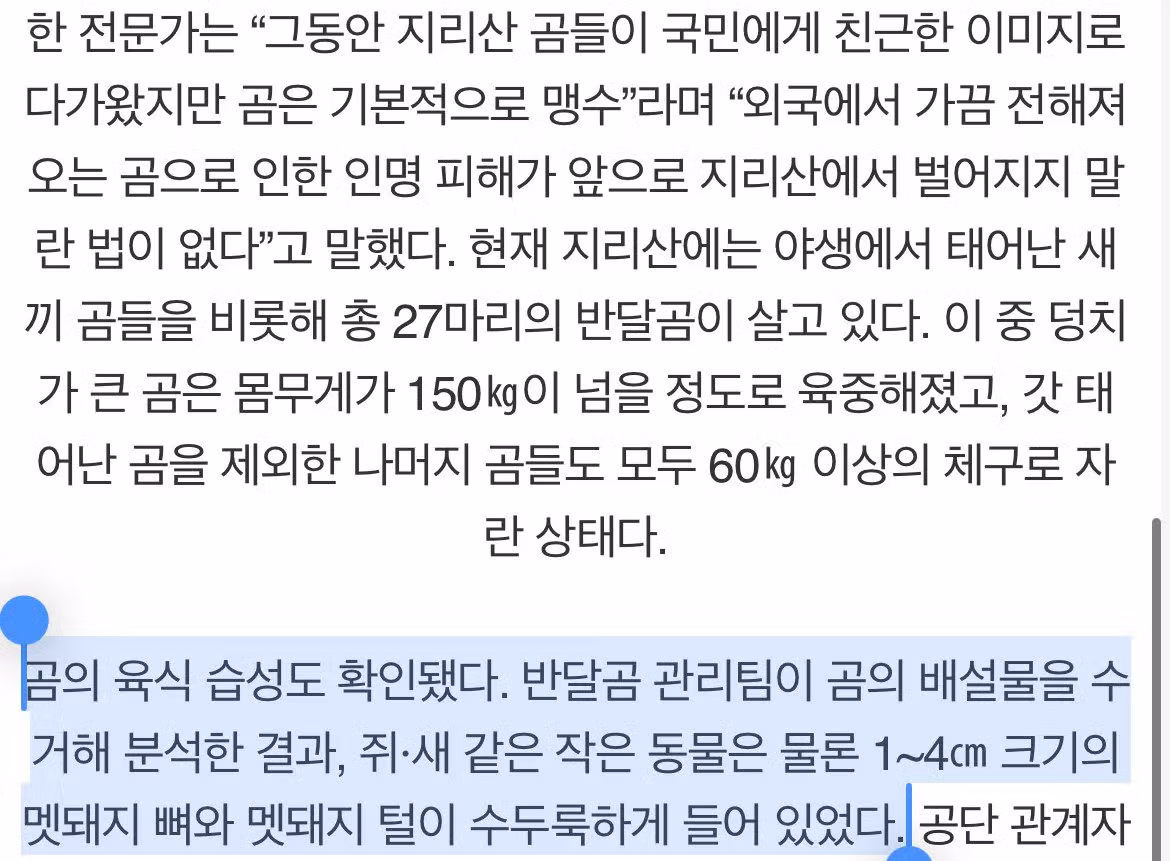 언제 사람 뒤질지 모르는 지리산 반달곰.gif 7