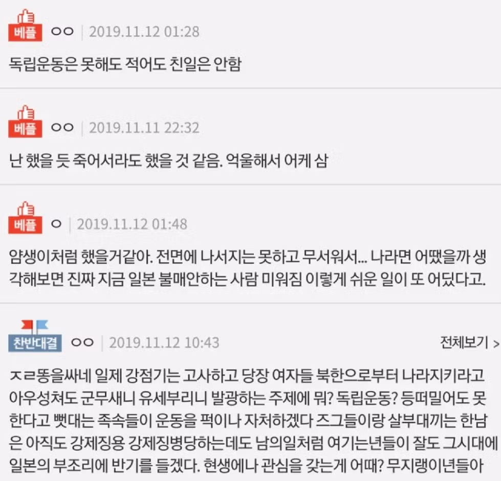 다시 보는 여초 커뮤의 아가리 애국 레전드 2