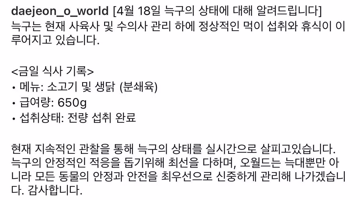 늑구의 진짜 최신 근황 ㄷㄷㄷㄷㄷㄷ 2