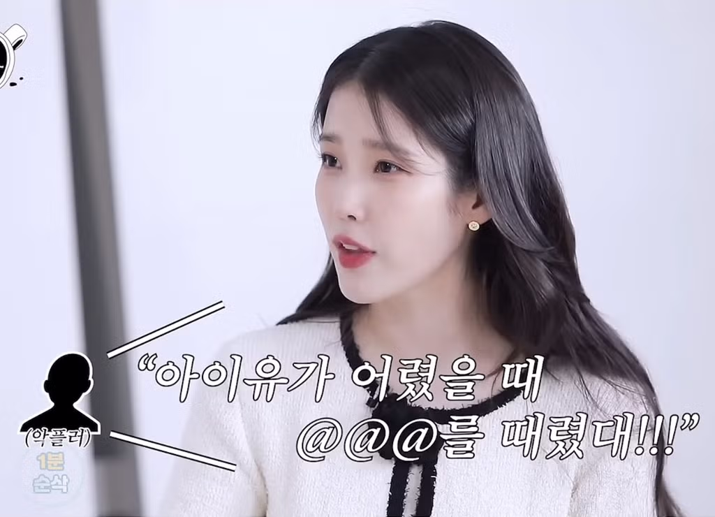 아이유 피셜 제일 어이없었던 악플 - 밈카세