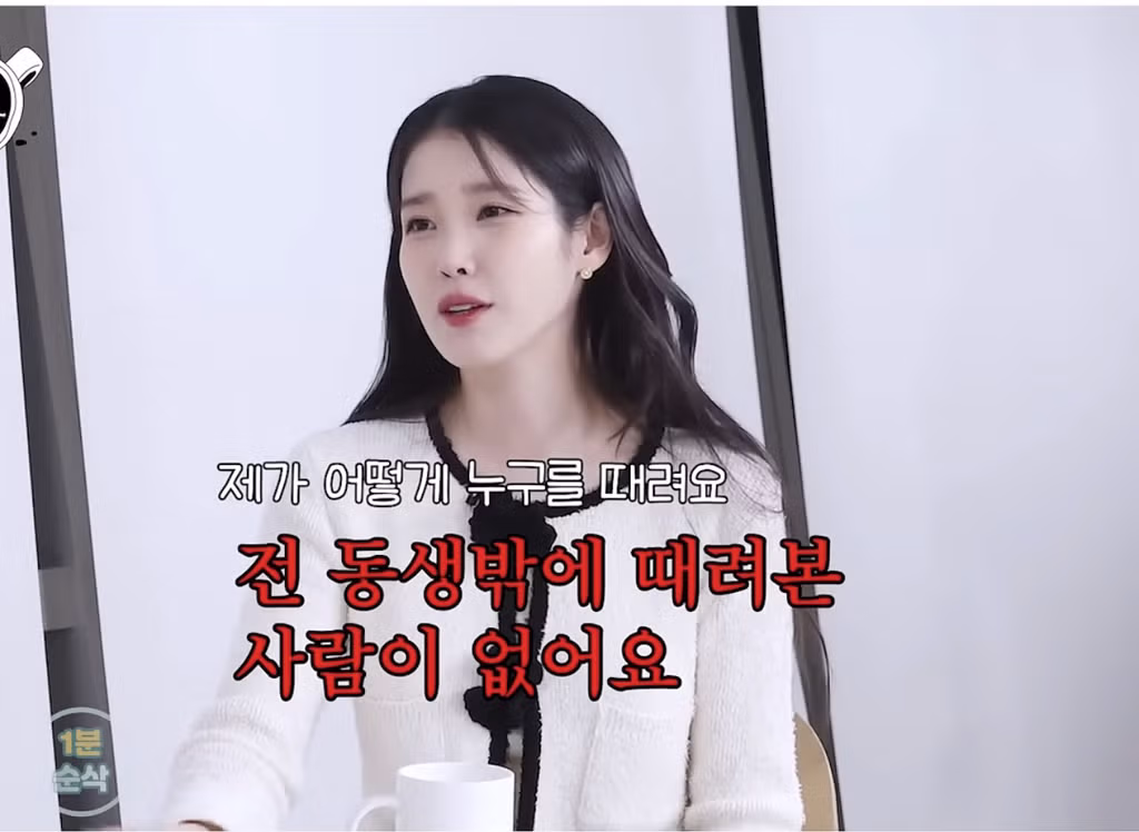 아이유 피셜 제일 어이없었던 악플 - 밈카세