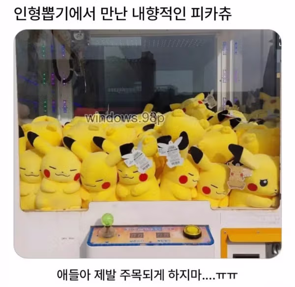 인형뽑기에서 만난 내향적인 피카츄ㅋㅋ 2