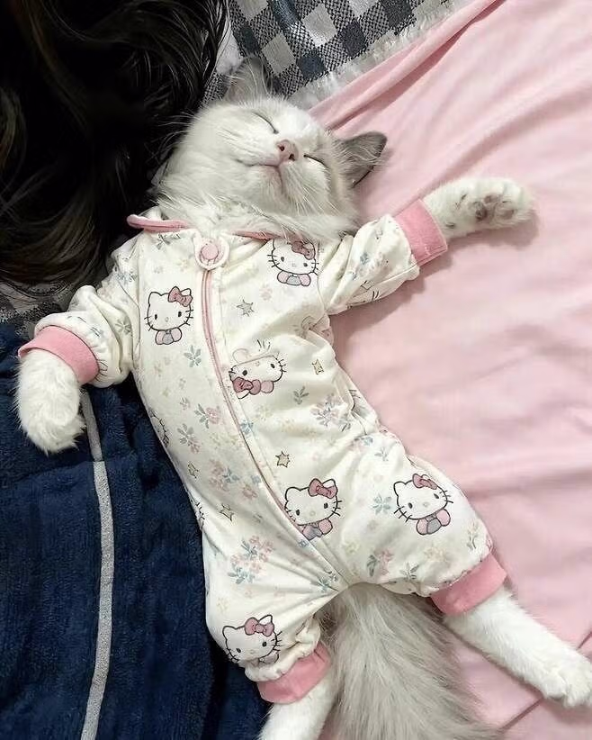 아기가 커서 버리는 옷 활용법 3