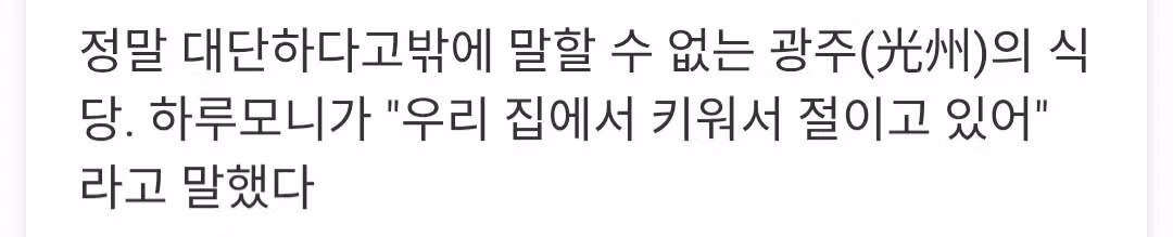 광주의 식당에서 묵은지 김치에 매료된 일본인 4