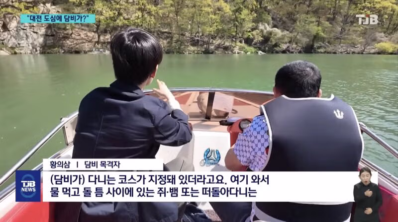 '폴짝' 하더니 '콱'..담비의 '뱀 사냥' 순간 포착 4