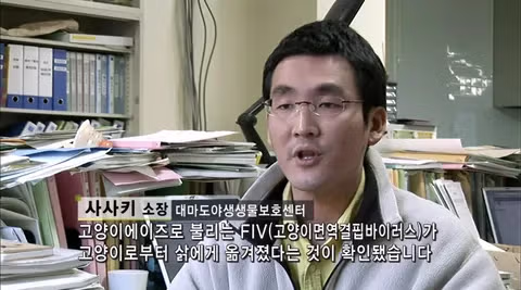 대마도에서 길고양이에게 먹이 주면 안되는 EU 2