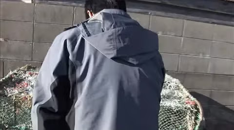 대마도에서 길고양이에게 먹이 주면 안되는 EU 4