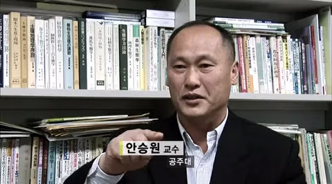 대마도에서 길고양이에게 먹이 주면 안되는 EU 5