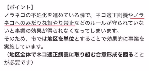 대마도에서 길고양이에게 먹이 주면 안되는 EU 15