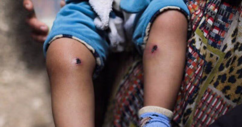 선넘는 이스라엘군 3