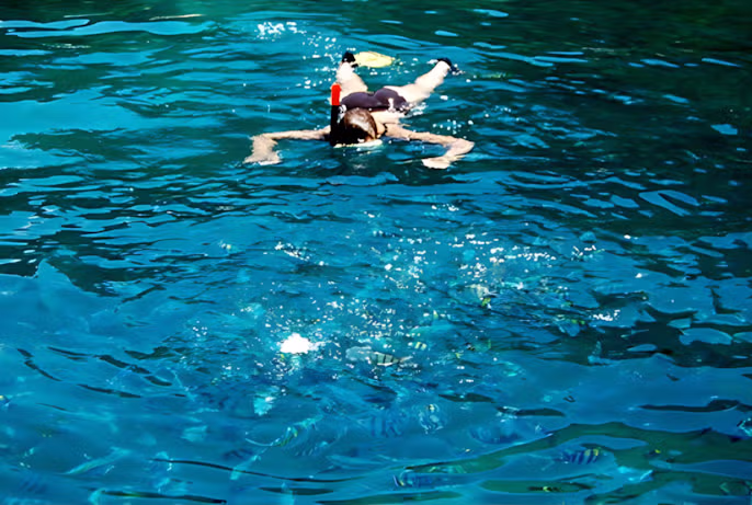 노르웨이 ㅊㅈ들과 호핑투어 썰 jpg 4