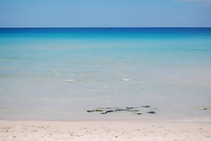 노르웨이 ㅊㅈ들과 호핑투어 썰 jpg 9