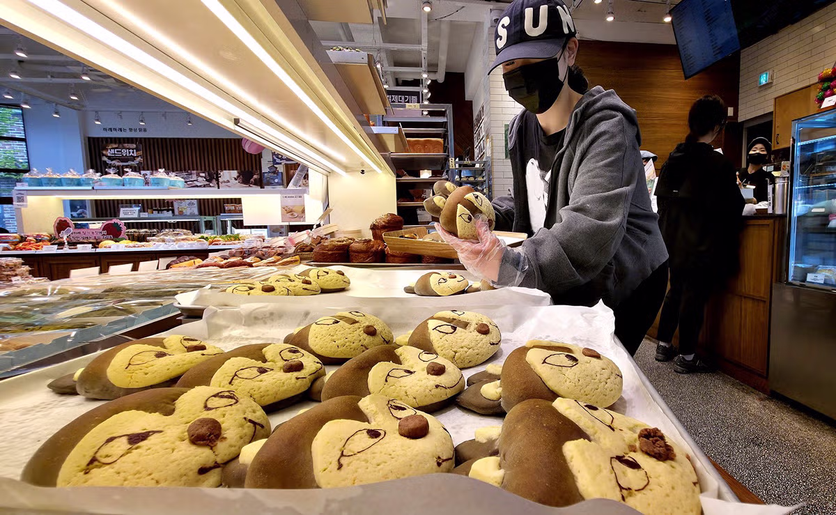 [포토타임] ‘늑구빵’ 출시 이틀 만에 동나...대전은 '늑구' 앓이 중 - 밈카세