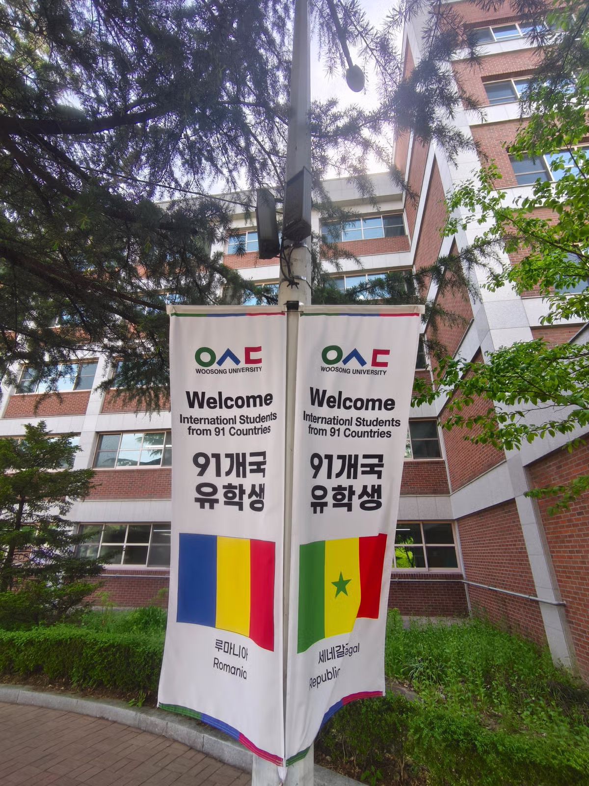 현재 우송대학교 풍경 jpg - 밈카세