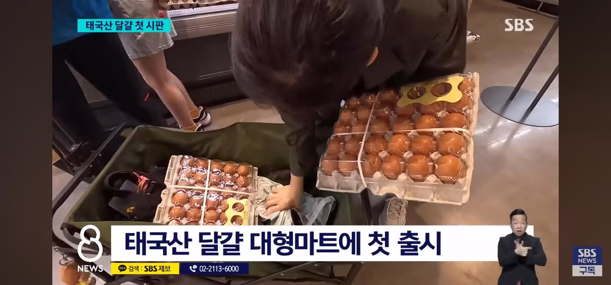 태국산 달걀 수입 판매시작 - 밈카세