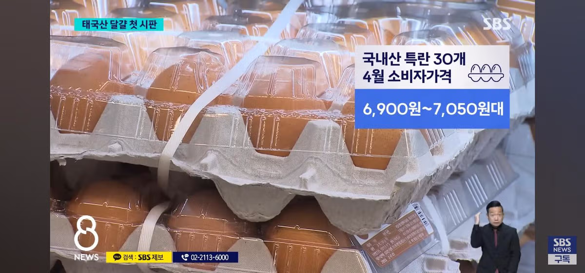 태국산 달걀 수입 판매시작 - 밈카세