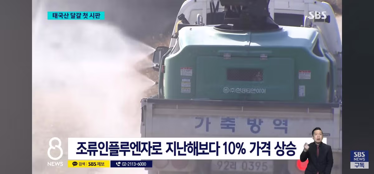 태국산 달걀 수입 판매시작 - 밈카세