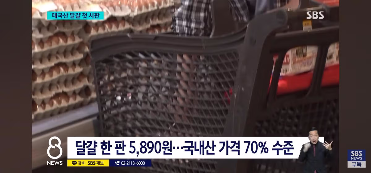 태국산 달걀 수입 판매시작 - 밈카세