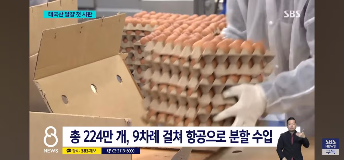 태국산 달걀 수입 판매시작 - 밈카세