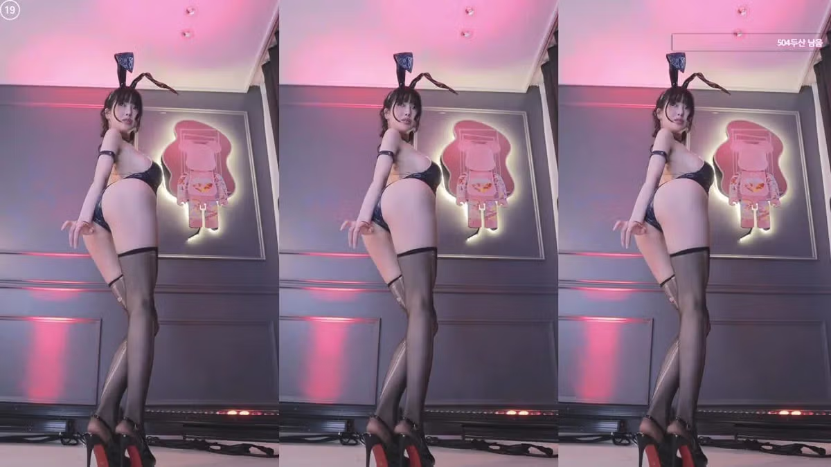 (ㅎㅂ) 하루만에 3800만원 벌었던 과즙세연 바니걸 방송 - 밈카세