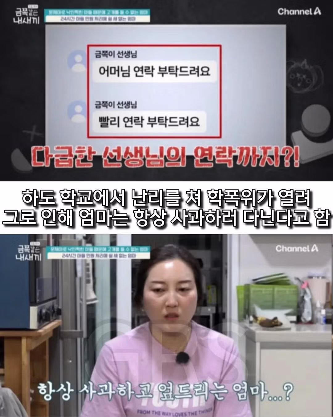 학폭으로 방송나온 금쪽이의 충격적인 현재 근황....51 - 밈카세