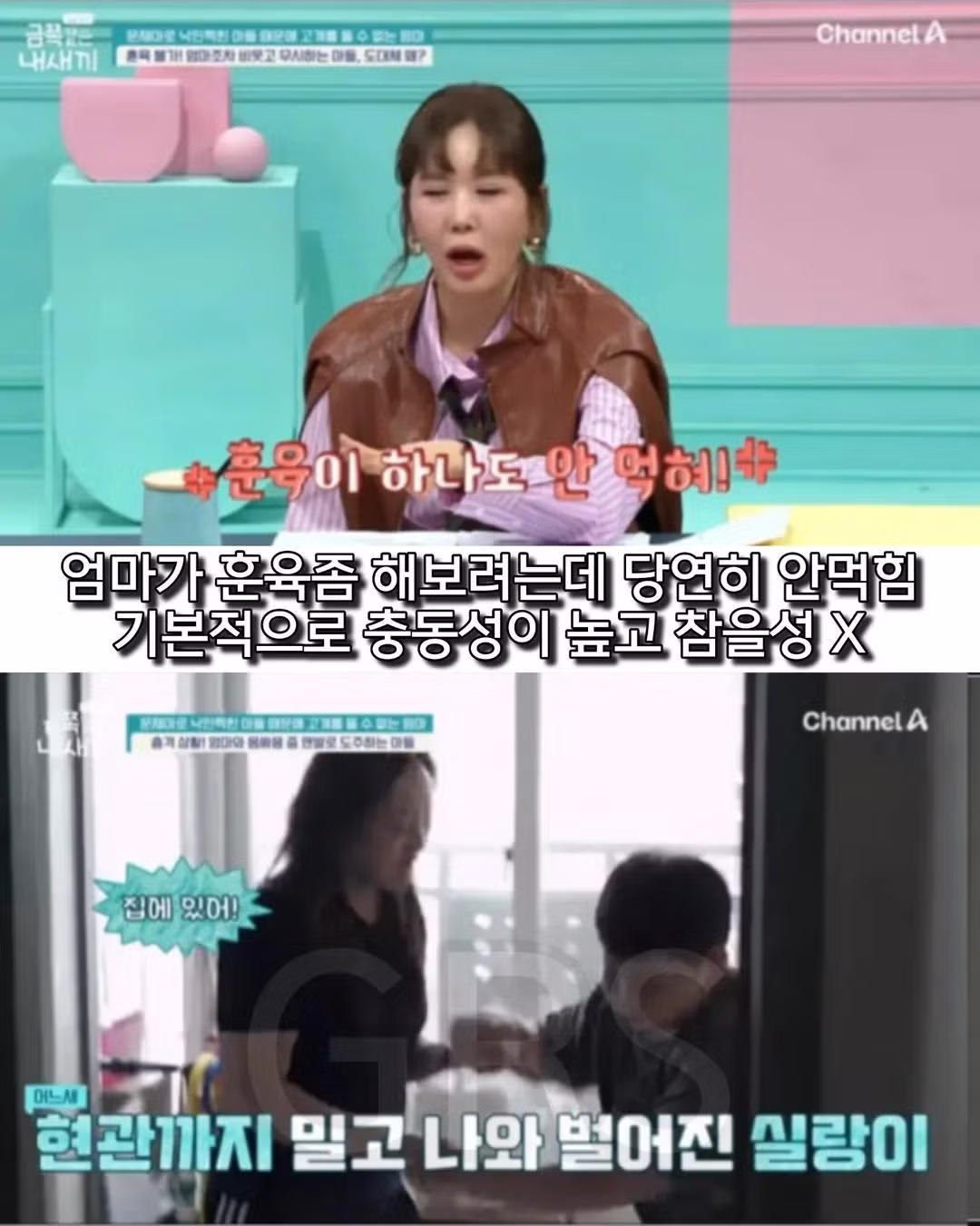 학폭으로 방송나온 금쪽이의 충격적인 현재 근황....51 - 밈카세