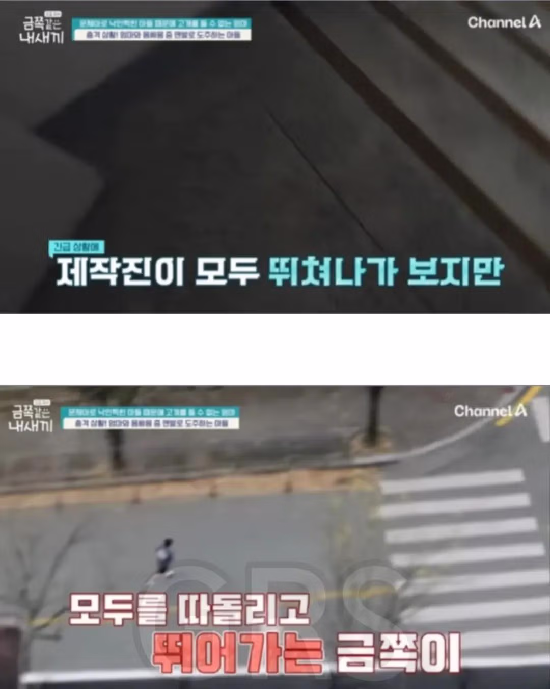 학폭으로 방송나온 금쪽이의 충격적인 현재 근황....51 - 밈카세