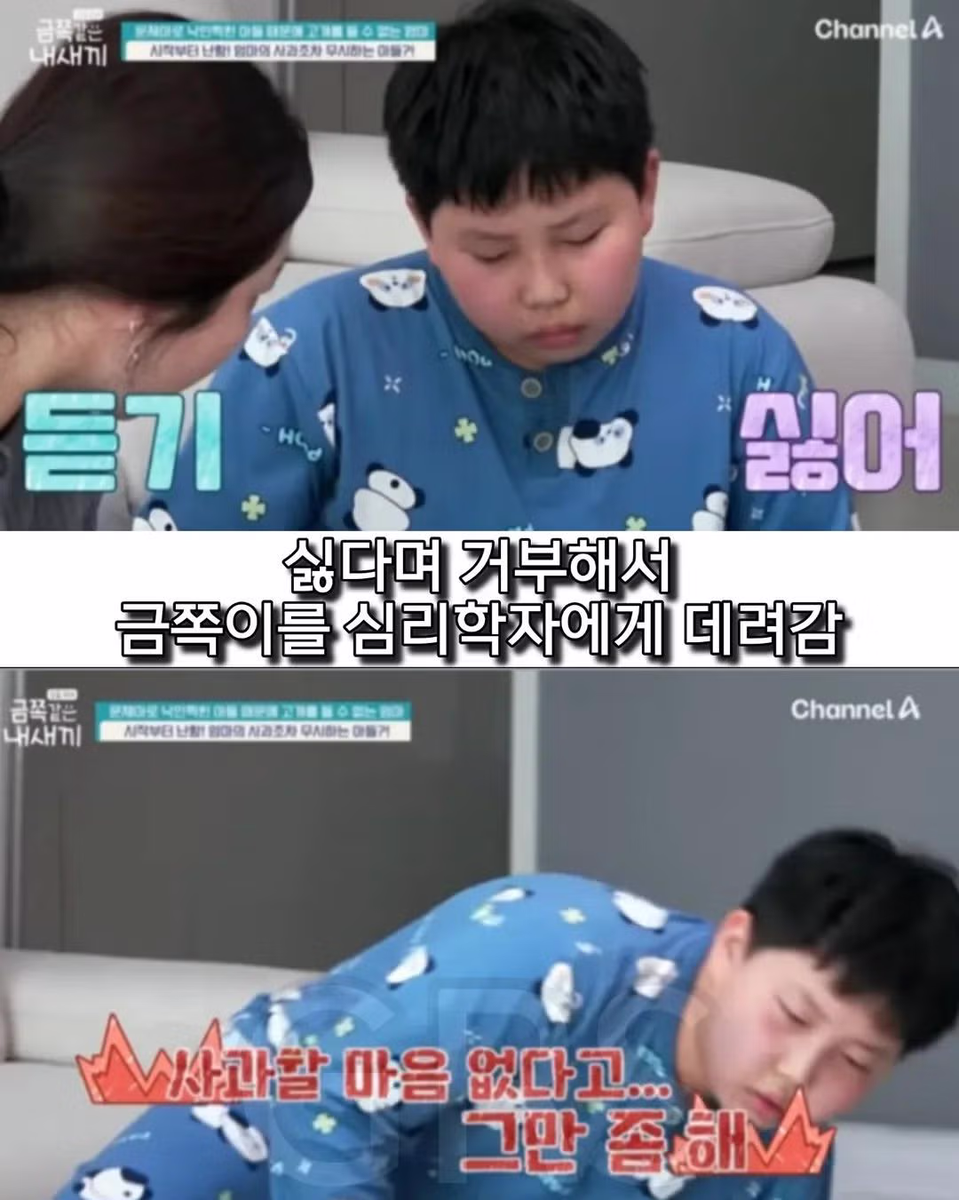 학폭으로 방송나온 금쪽이의 충격적인 현재 근황....51 - 밈카세