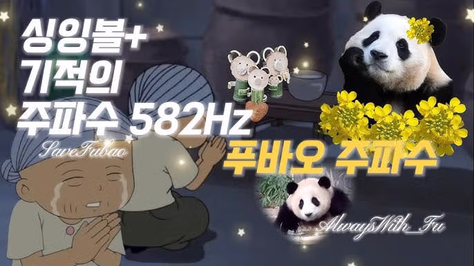 푸바오 돌아오는 주파수 - 밈카세