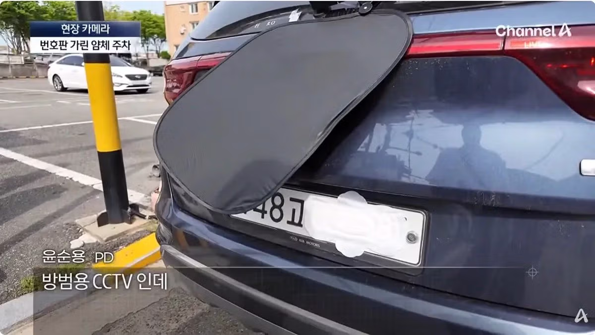 꽃놀이 와서 불법 주차 한다고 번호판에 생리대 붙임 - 밈카세