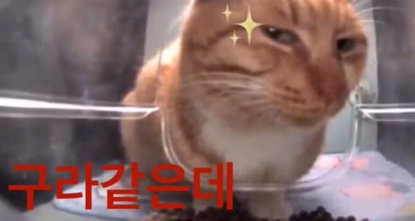 아무도 믿지 못하고 있는 드라마 <허수아비> 백현진 인물소개 - 밈카세