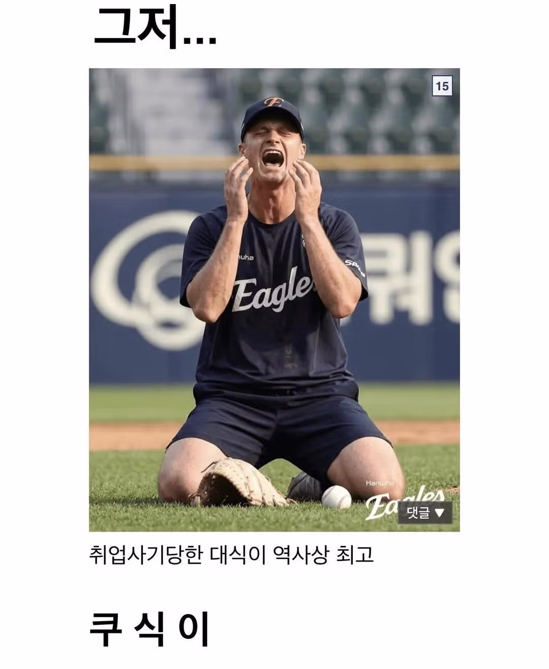 취업사기당했다는 한화이글스 대체용병투수 - 밈카세