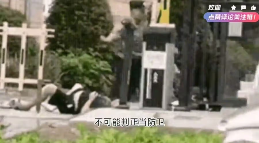 중국에서 발생한 살인사건 - 밈카세