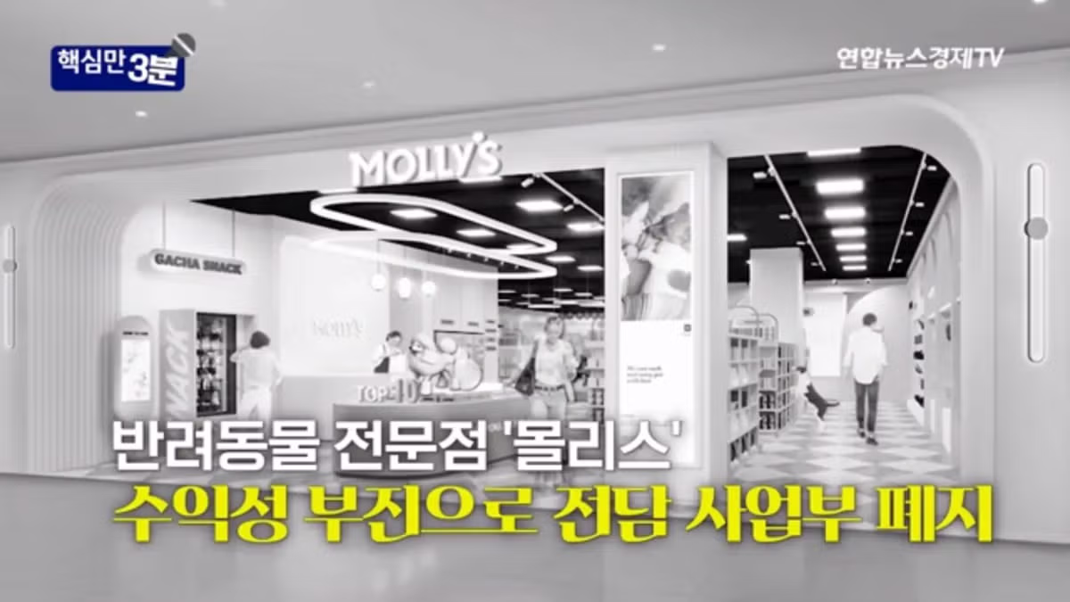 “유통공룡” 신세계 2년 성적표 - 밈카세