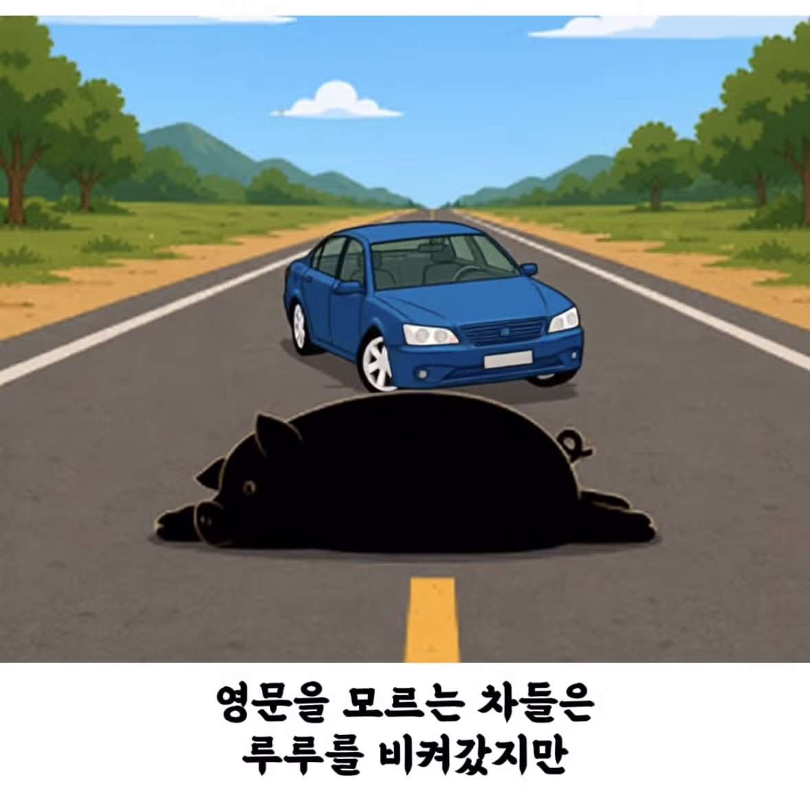 돼지 덕분에 심장마비에서 기적적으로 생존한 여자 - 밈카세