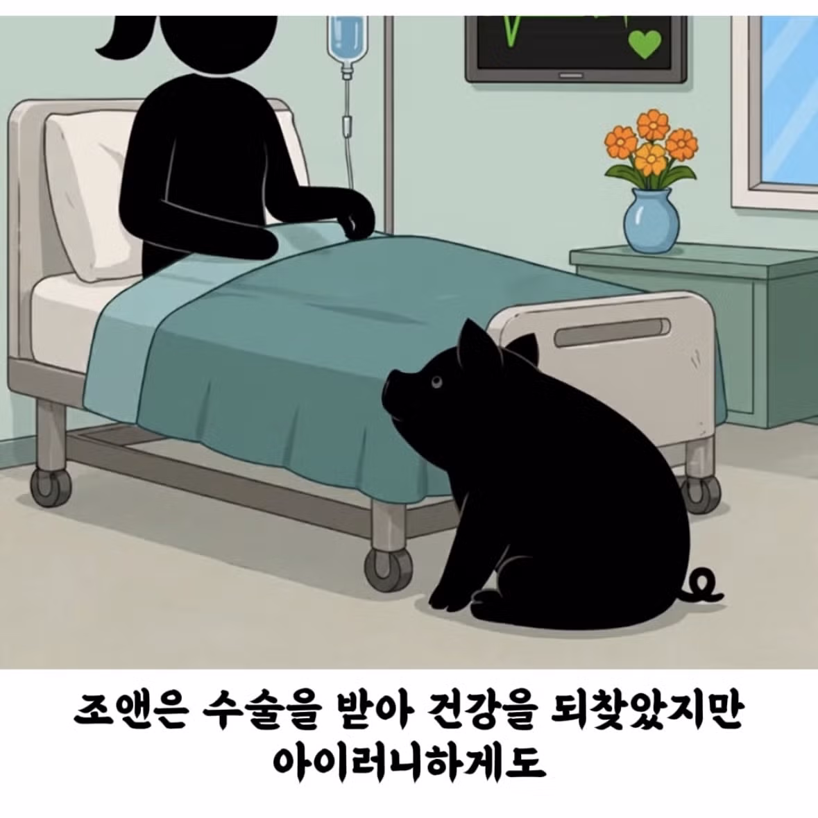 돼지 덕분에 심장마비에서 기적적으로 생존한 여자 - 밈카세