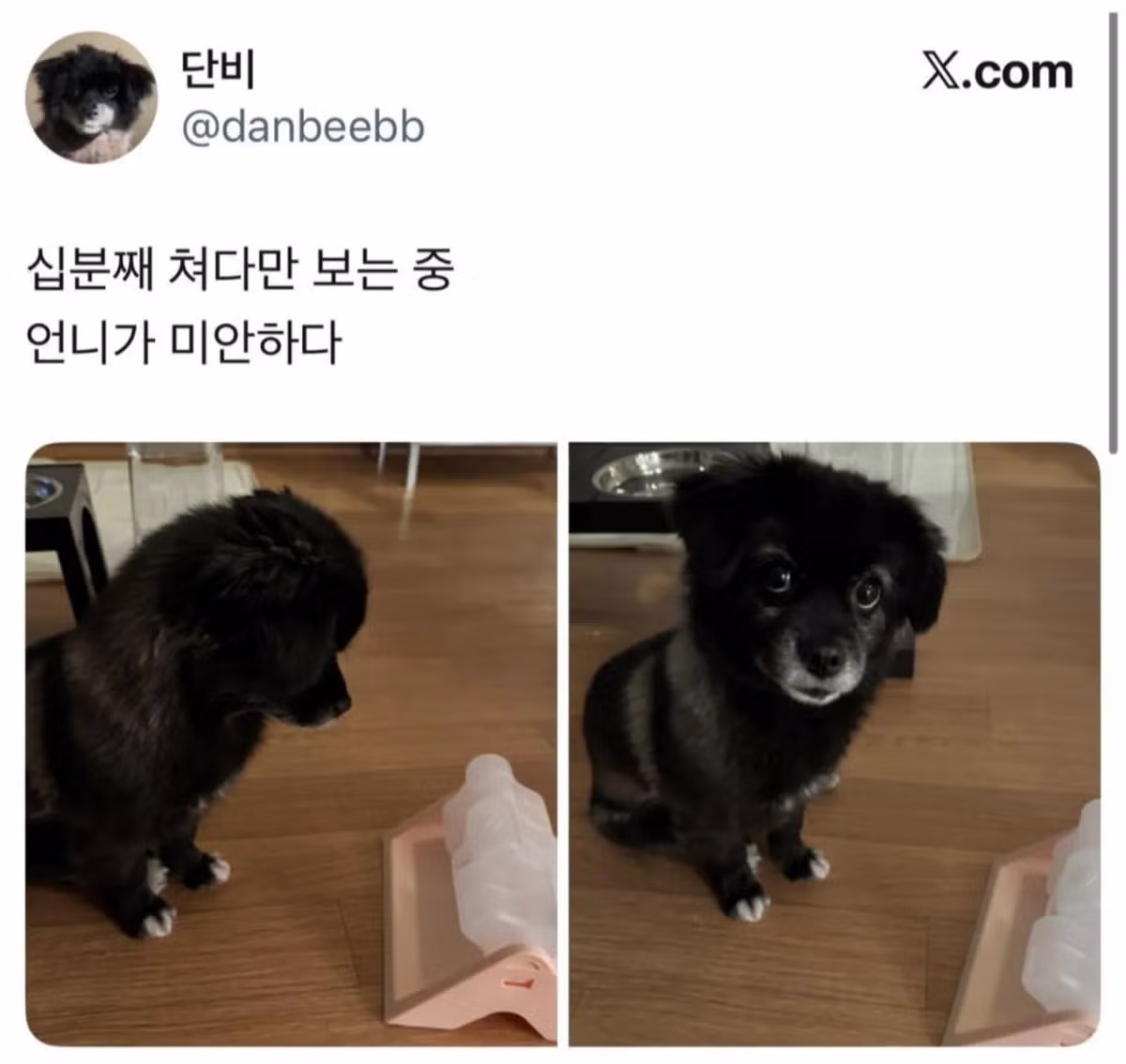 오늘도 다이소에 3천원 기부했다 - 밈카세