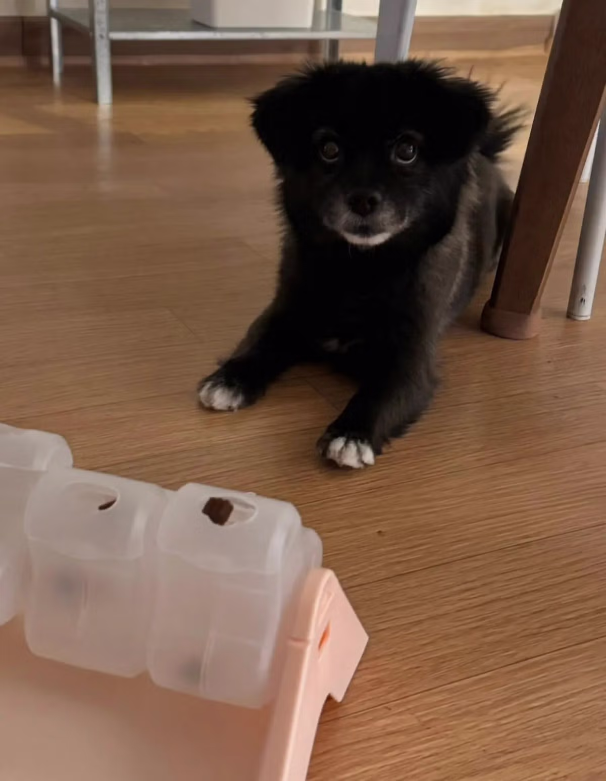 오늘도 다이소에 3천원 기부했다 - 밈카세