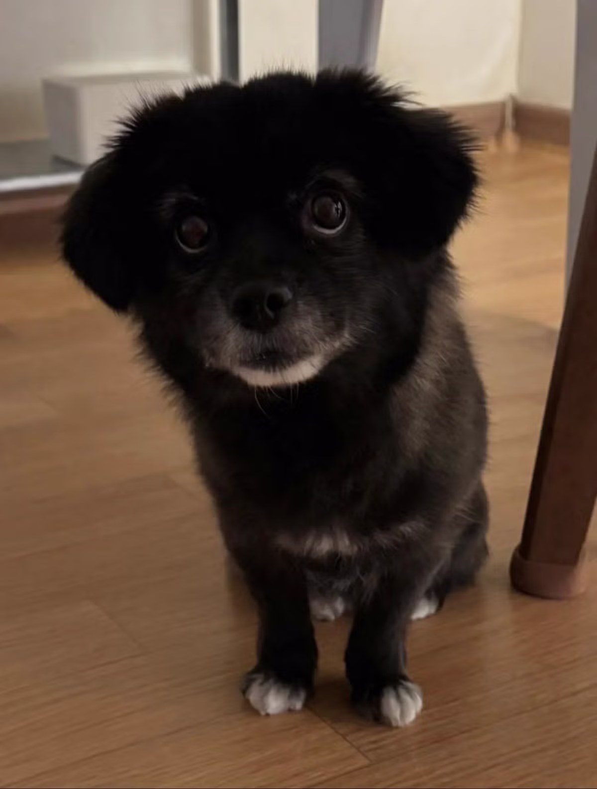 오늘도 다이소에 3천원 기부했다 - 밈카세