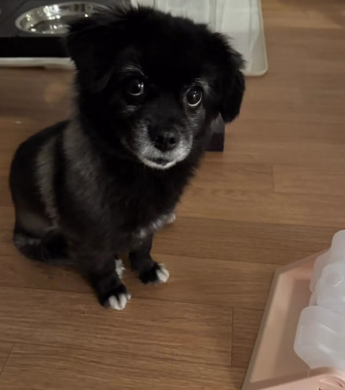 오늘도 다이소에 3천원 기부했다 - 밈카세